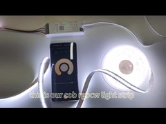 COB Şerit Işığı